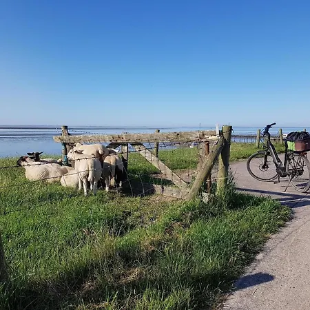 G13 Mit Garten Und Fahrradschuppen * Grosswurden